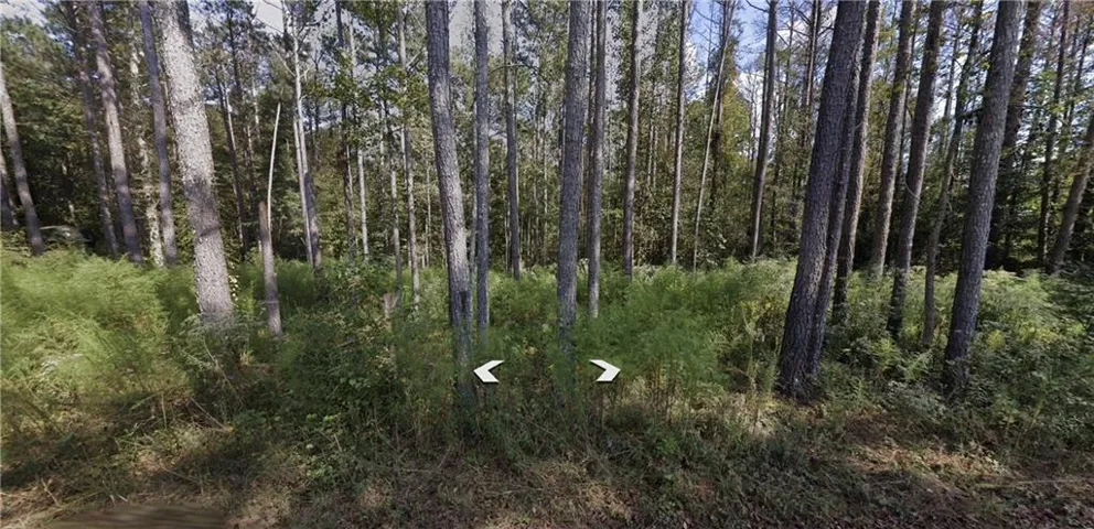0 Holly Road, Bowdon, Georgia 30108