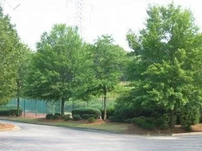 4003 Wingate Way, Sandy Springs, Georgia 30350, 1 Bedroom Bedrooms, ,1 BathroomBathrooms,Residential,Sold,4003 Wingate Way,6075596