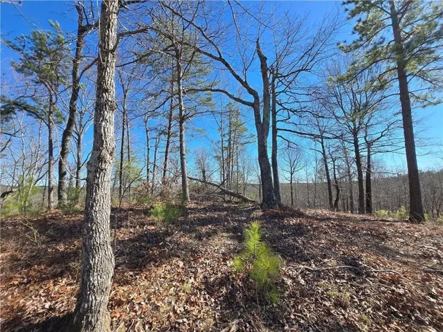 0 Brushy Mountain Road, Rockmart, Georgia 30153