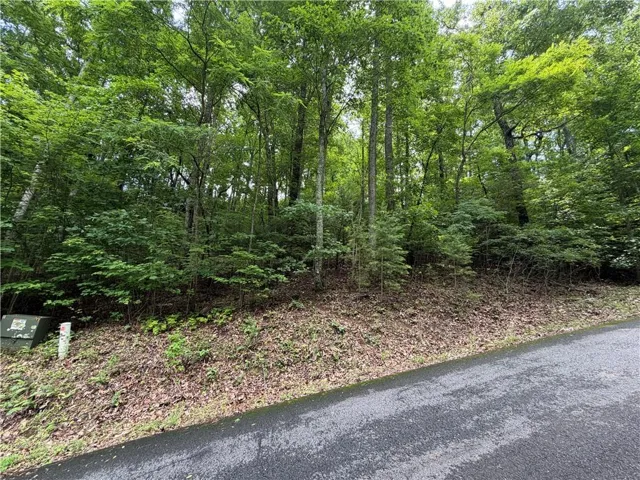 Lot 7 Mill Ridge Road, Hiawassee, Georgia 30546