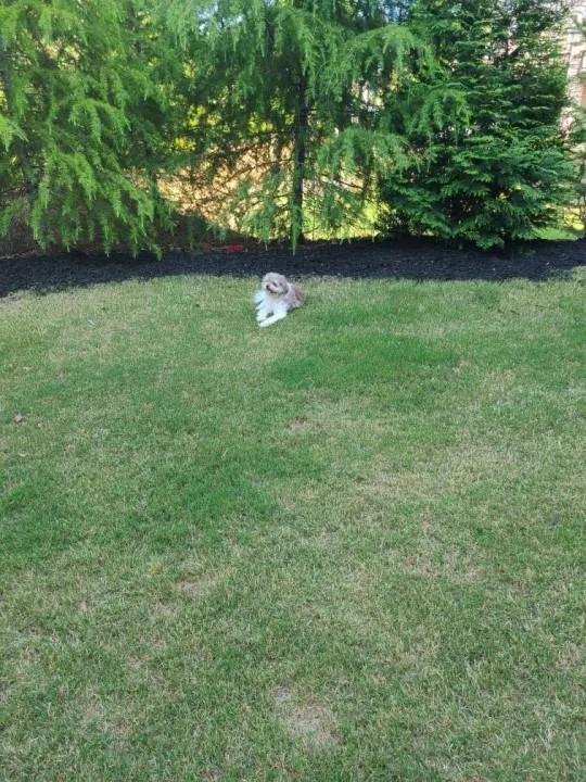 53 Marlow Place, Atlanta, Georgia 30328, 3 Bedrooms Bedrooms, ,3 BathroomsBathrooms,Residential,Sold,53 Marlow Place,6956687