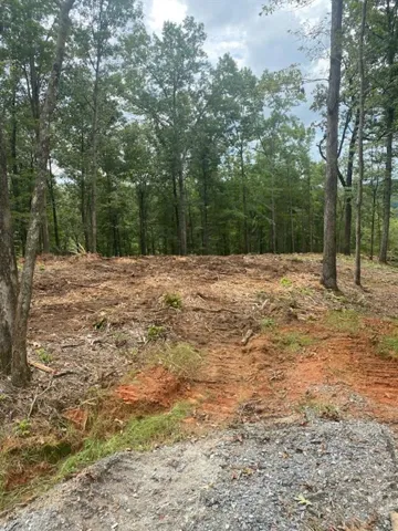 Cleared building site surrounded by mature trees
