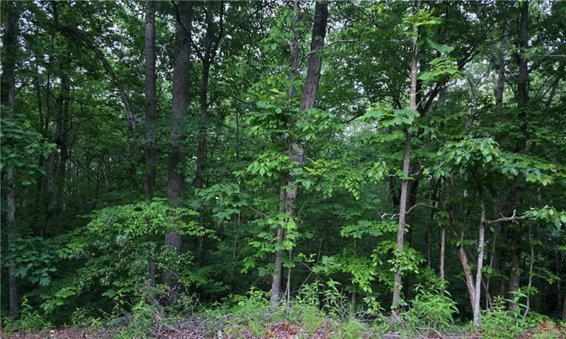 0 Old Mckaskey Creek Road Se, Cartersville, Georgia 30121