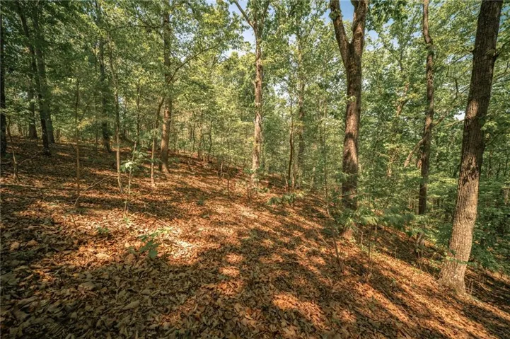 00 Hancock Mountain Trl, Waleska, Georgia 30183