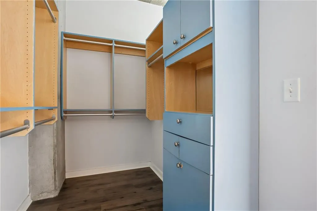 Walk in closet featuring dark wood-style floors