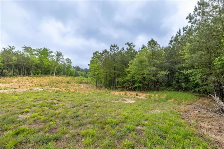 Gorgeous partially cleared lot!