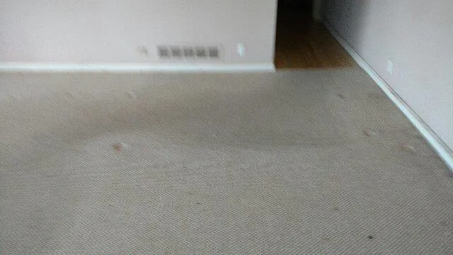 215 River North Drive, Sandy Springs, Georgia 30328, 5 Bedrooms Bedrooms, ,4 BathroomsBathrooms,Residential,Sold,215 River North Drive,5837702