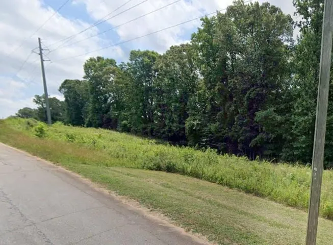 Expansive undeveloped land featuring mature tree lines