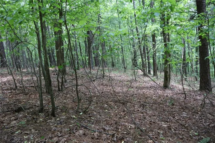 0 Parksbrook Road A, Ellijay, Georgia 30540