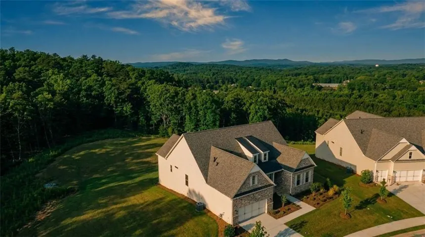 236 Laurel Vista Drive, Canton, Georgia 30114