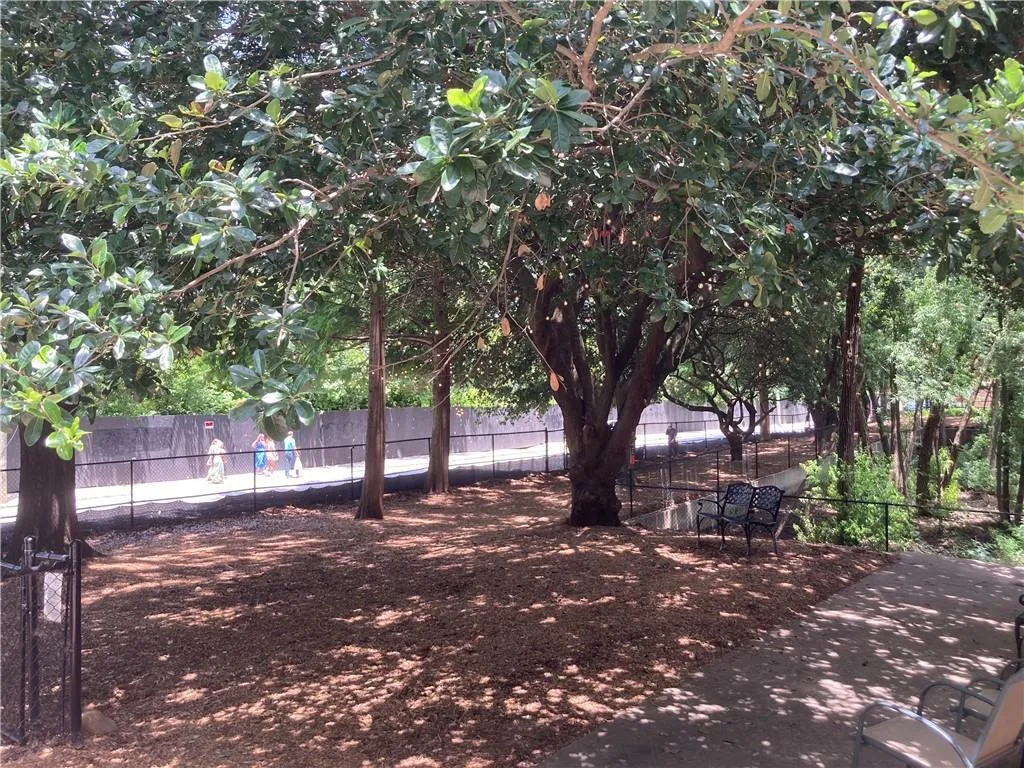 Dog Park with lots shade