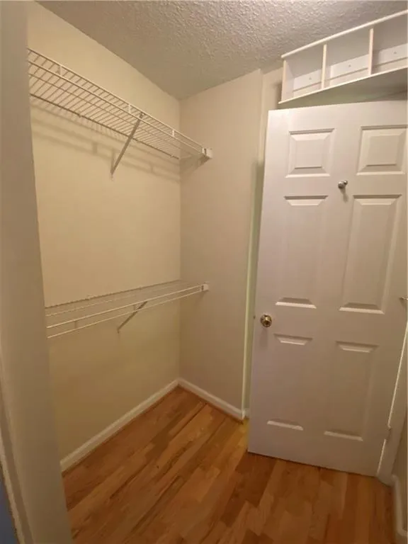 Walk in closet with light wood-style floors