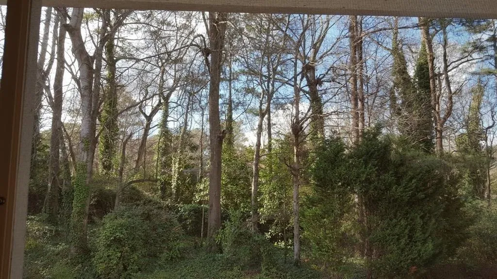 6700 Roswell Road Unit 23a, Sandy Springs, Georgia 30328, 2 Bedrooms Bedrooms, ,1 BathroomBathrooms,Residential,Sold,6700 Roswell Road Unit 23a,6638373