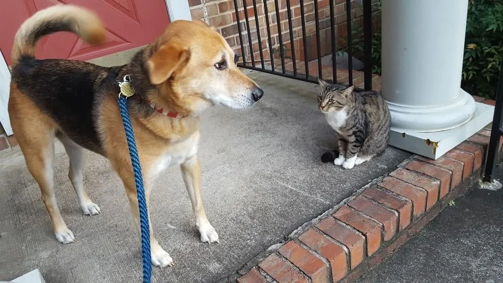 6700 Roswell Road Unit 23a, Sandy Springs, Georgia 30328, 2 Bedrooms Bedrooms, ,1 BathroomBathrooms,Residential,Sold,6700 Roswell Road Unit 23a,6638373