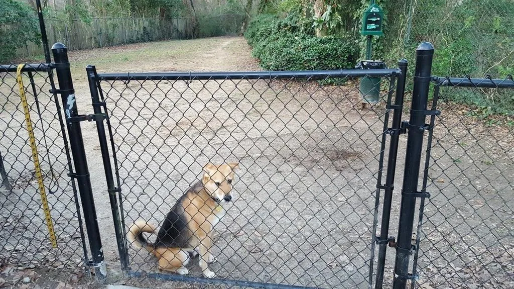 6700 Roswell Road Unit 23a, Sandy Springs, Georgia 30328, 2 Bedrooms Bedrooms, ,1 BathroomBathrooms,Residential,Sold,6700 Roswell Road Unit 23a,6638373