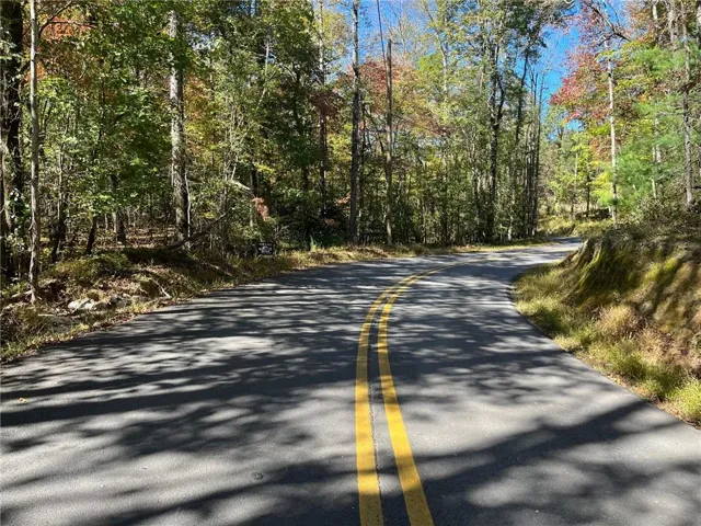 Paved road with double yellow lines, surrounded by mature trees