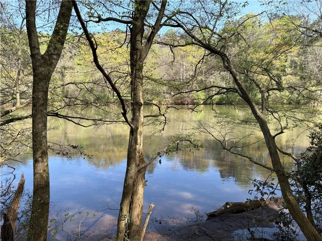 Direct access and views of the Chattahoochee River from inside the community Direct access and views of the Chattahoochee River from inside the community