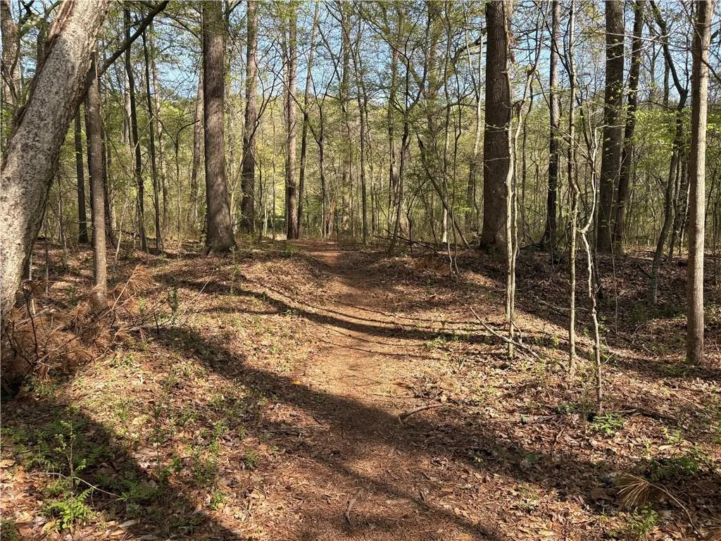 Scenic walking path along the Chattahoochee River Scenic walking path along the Chattahoochee River
