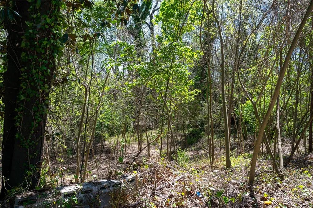 1676 Abner Court Nw, Atlanta, Georgia 30318, 0 ,Land,For Sale,1676 Abner Court Nw,7745395