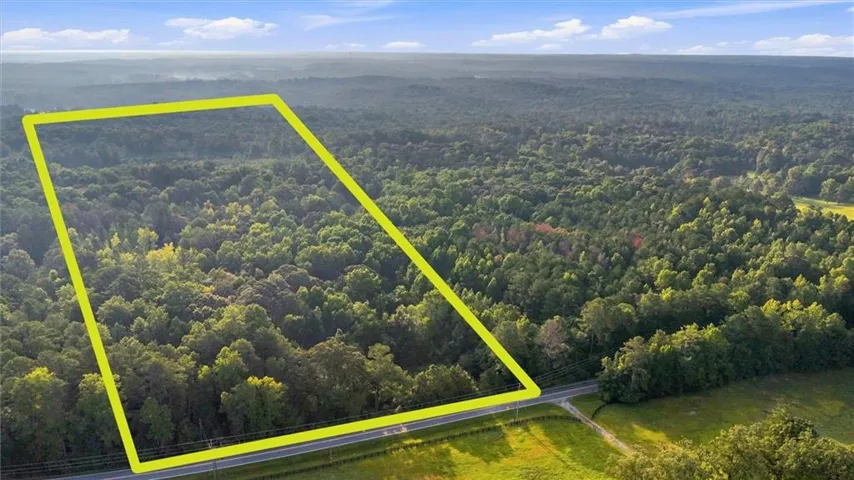 Expansive wooded acreage with mature trees