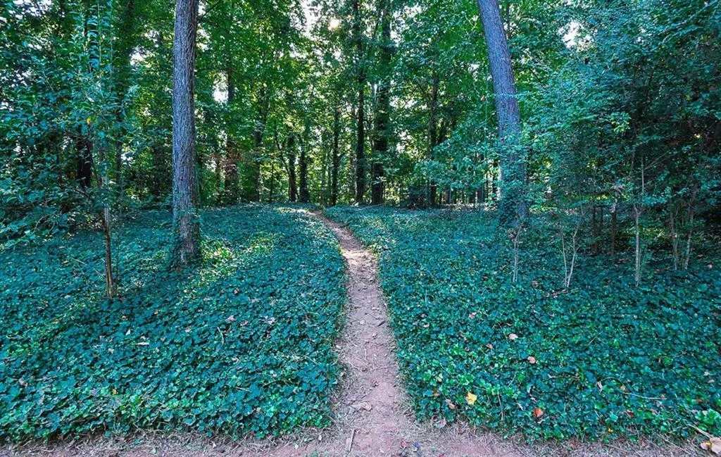 735 E Northway Lane, Atlanta, Georgia 30342, 4 Bedrooms Bedrooms, ,3 BathroomsBathrooms,Residential,Sold,735 E Northway Lane,6795699