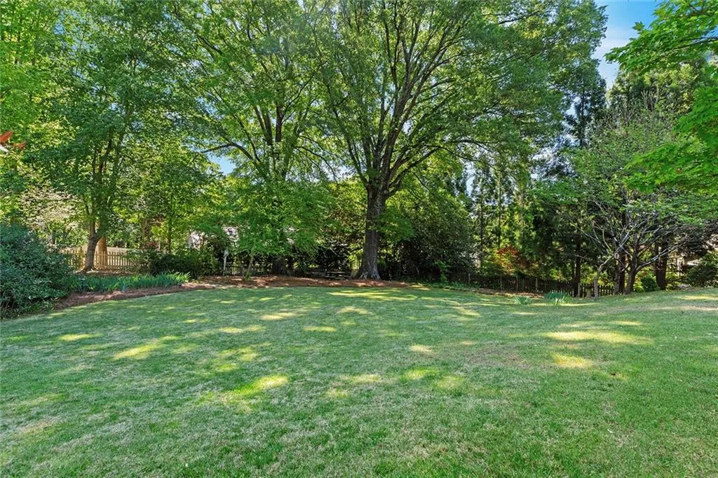 Flat backyard