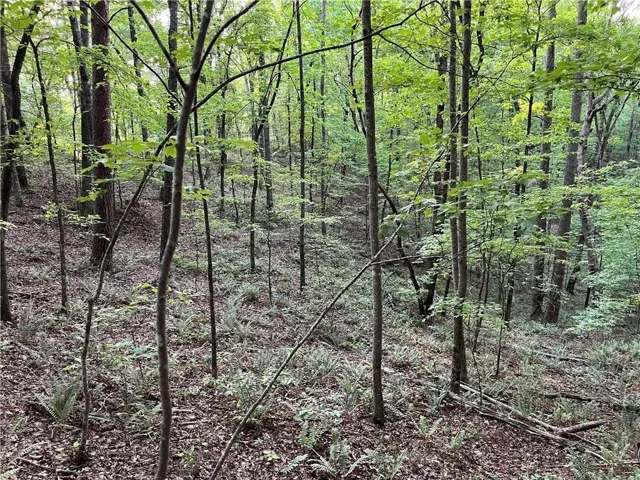 1720 Rebekah Ridge Road, Talking Rock, Georgia 30175