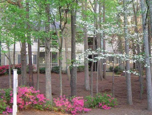 2006 Wingate Way, Sandy Springs, Georgia 30350, 1 Bedroom Bedrooms, ,1 BathroomBathrooms,Residential,Sold,2006 Wingate Way,6690388