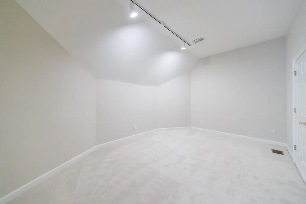 bonus room in basement