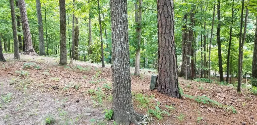 221 Burdette Road, Sandy Springs, Georgia 30327, ,Land,Sold,221 Burdette Road,7063743