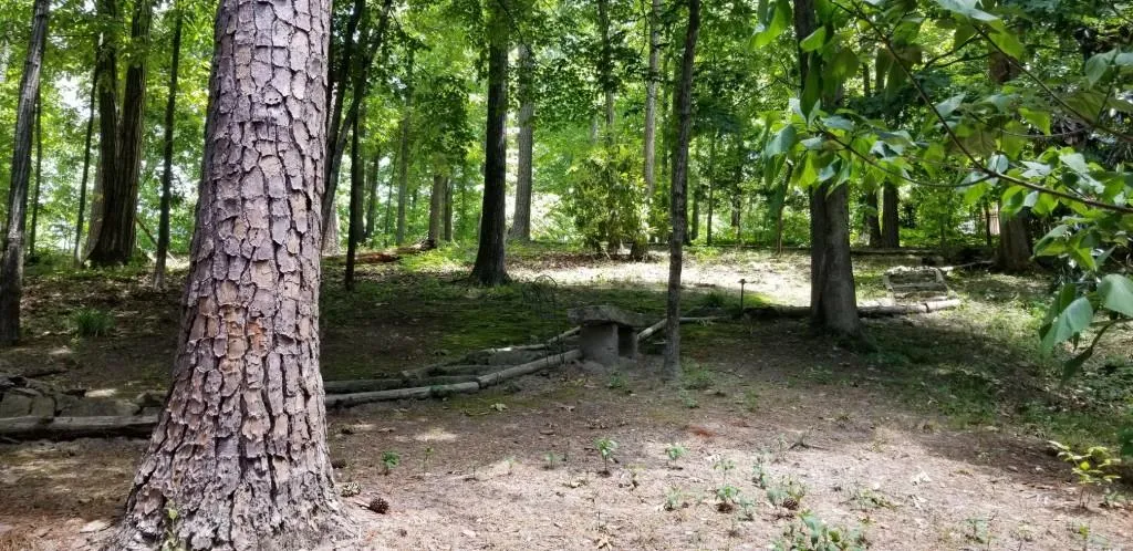 221 Burdette Road, Sandy Springs, Georgia 30327, ,Land,Sold,221 Burdette Road,7063743
