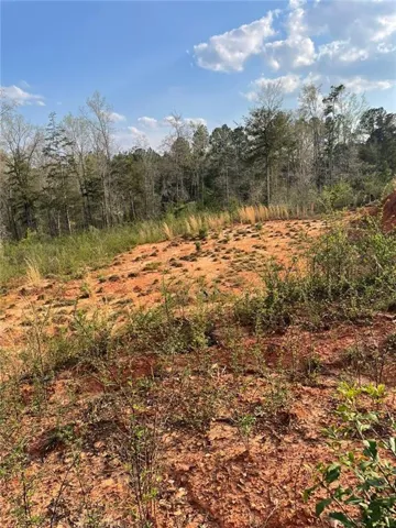 View of undeveloped land