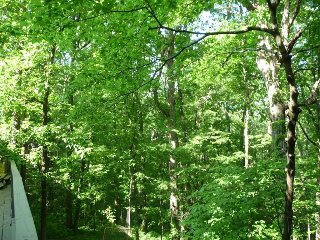 670 River Chase Point, Sandy Springs, Georgia 30328, 5 Bedrooms Bedrooms, ,4 BathroomsBathrooms,Residential,Sold,670 River Chase Point,5682274