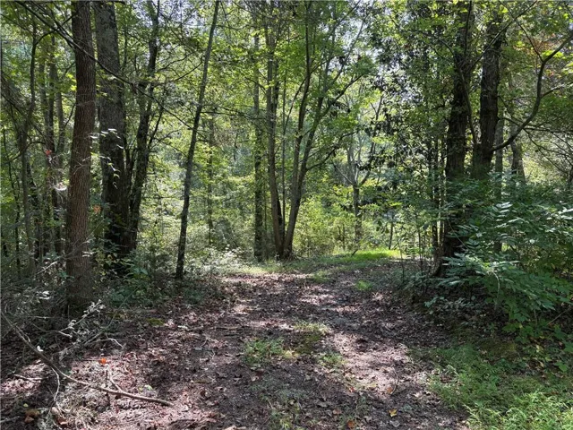 6485 Forsyth Drive, Cumming, Georgia 30028
