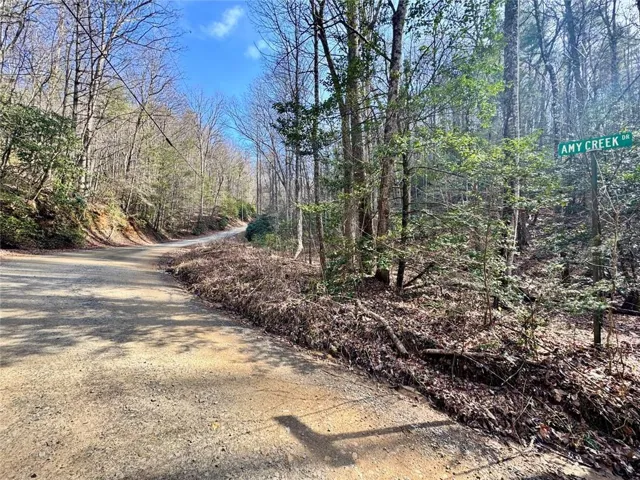 L53 Amy Creek Circle, Ellijay, Georgia 30540
