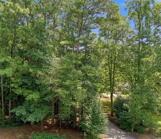13405 Cogburn Road, Milton, Georgia 30004