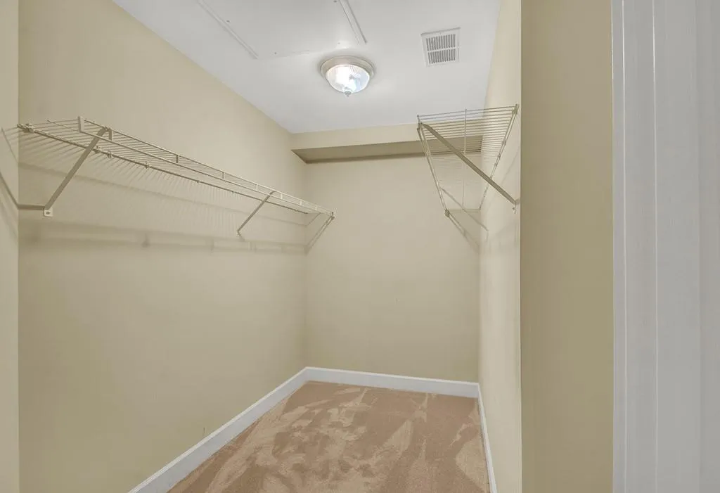 Spacious closet featuring light carpet