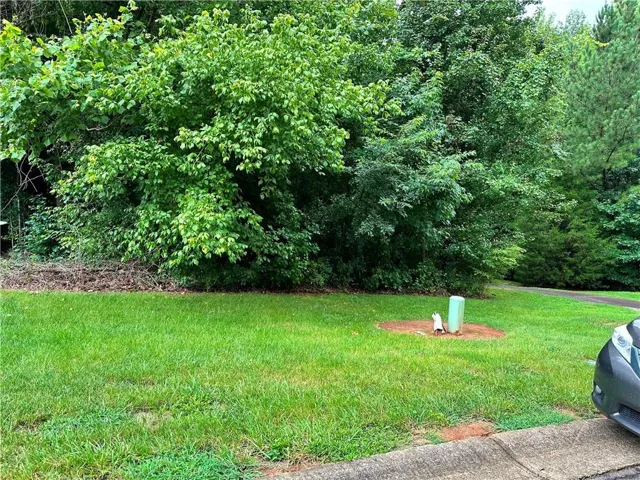 Manicured green lawn with mature perimeter trees and a concrete curb