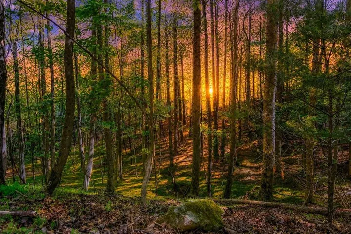 Lot 26 Estates Drive, Ellijay, Georgia 30536