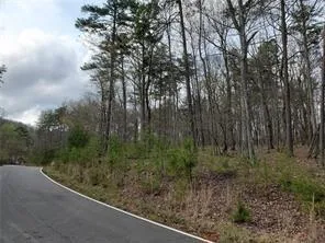 3512 Bear Creek Point, Jasper, Georgia 30143
