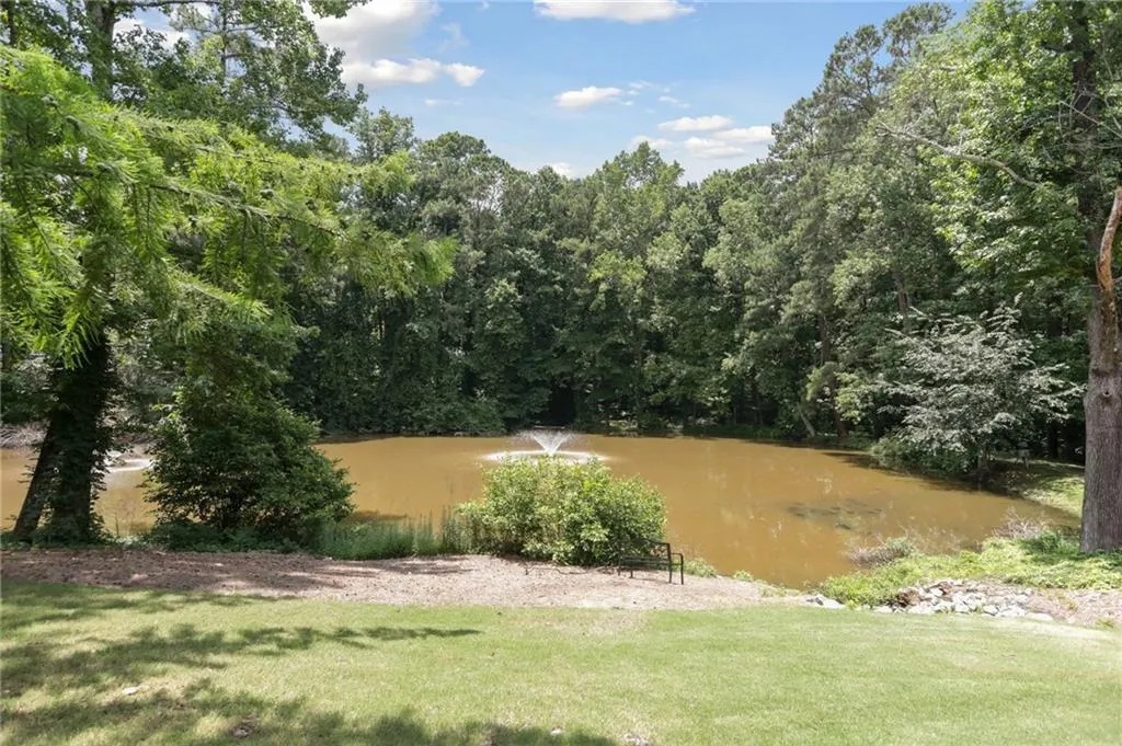 pond in back of neighborhood