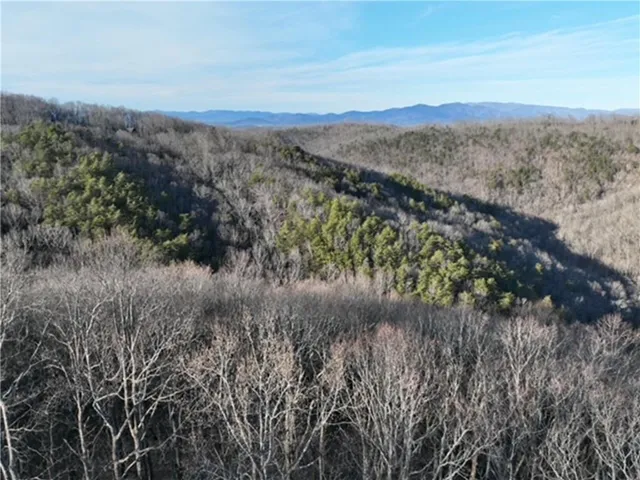 249 Andes Ridge, Ellijay, Georgia 30536