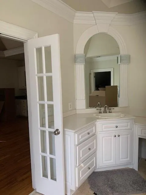 Bathroom featuring crown molding, vanity, and wood-type flooring