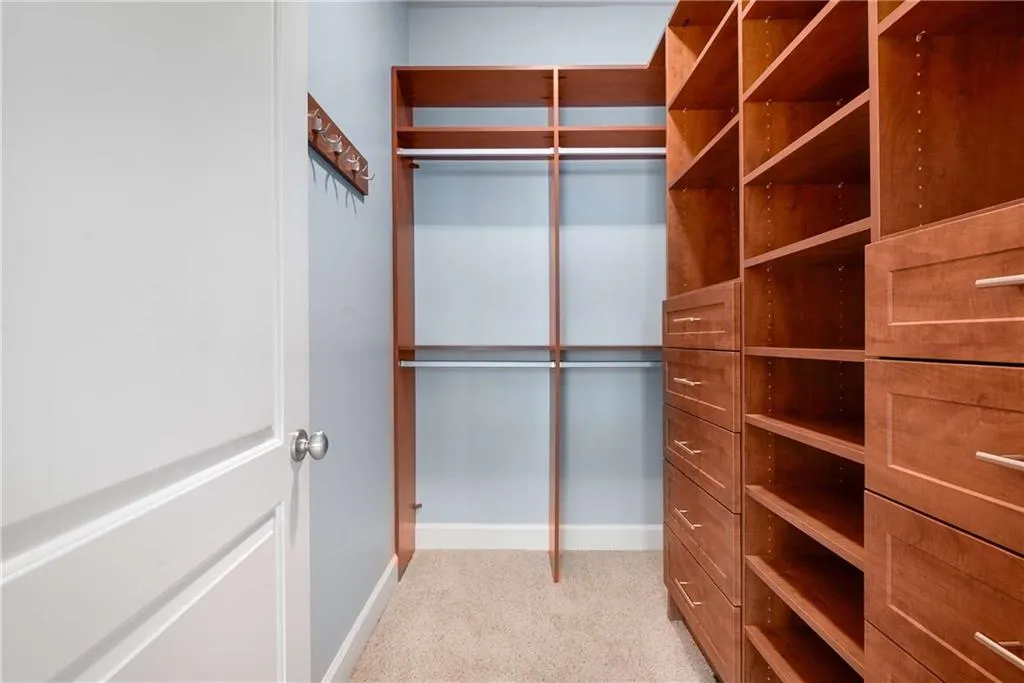 Spacious closet featuring light carpet