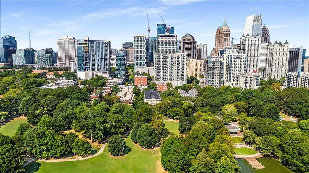 Skyline view with a tree filled landscape