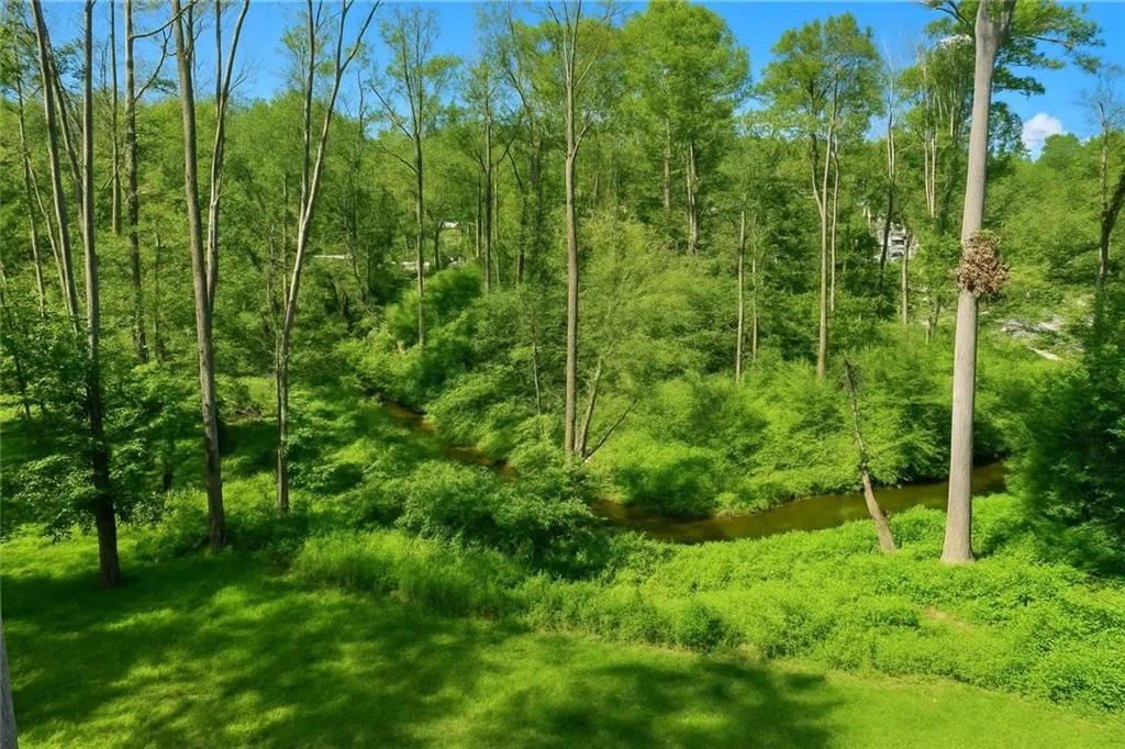 View of woods from deck, living room.