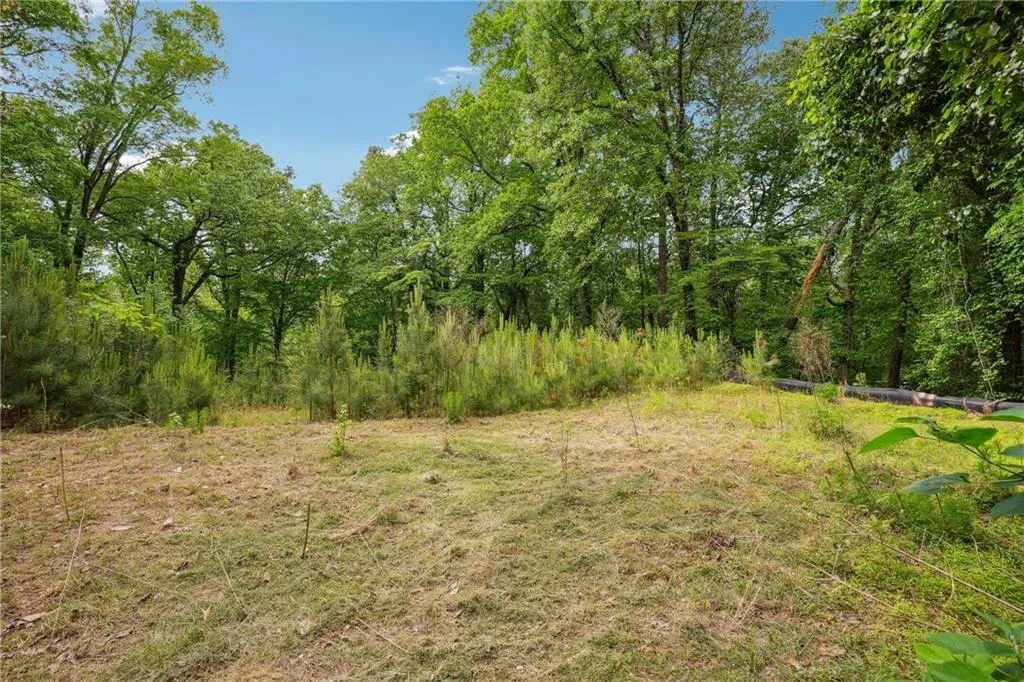 View of woods