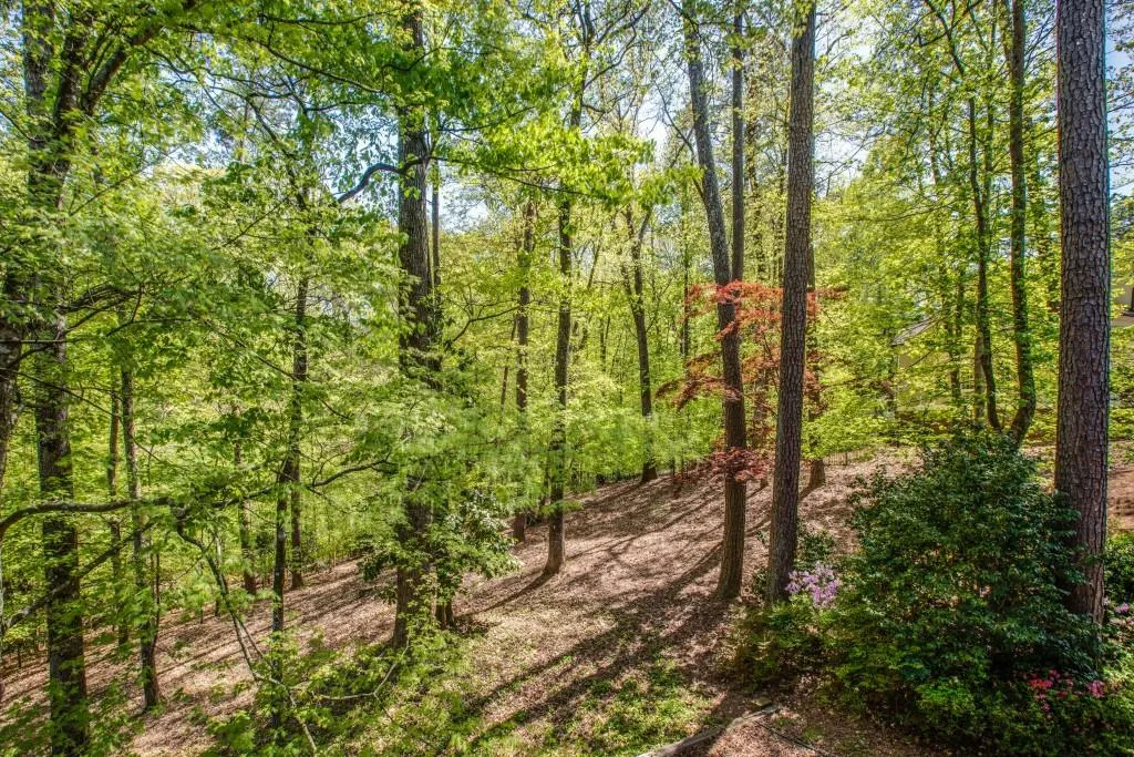 1995 Old Dominion Road, Atlanta, Georgia 30350, 6 Bedrooms Bedrooms, ,4 BathroomsBathrooms,Residential,Sold,1995 Old Dominion Road,5999230