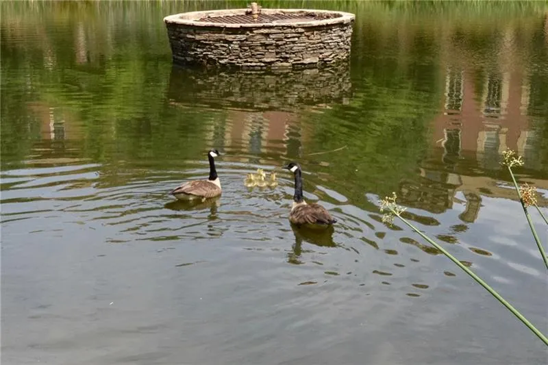 200 River Vista Drive Unit 204, Atlanta, Georgia 30339, 1 Bedroom Bedrooms, ,1 BathroomBathrooms,Residential,Sold,200 River Vista Drive Unit 204,6645719