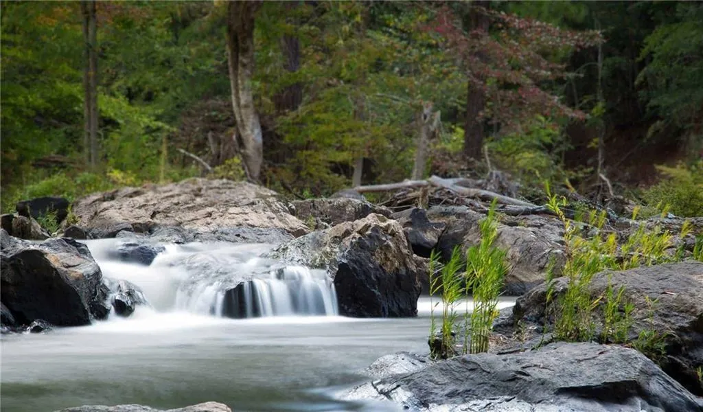 6310 Santa Fe Parkway, Sandy Springs, Georgia 30350, 2 Bedrooms Bedrooms, ,2 BathroomsBathrooms,Residential,Sold,6310 Santa Fe Parkway,6744474